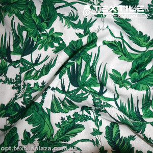 Лён цветной 4071D24C2 растения, зелено-белый