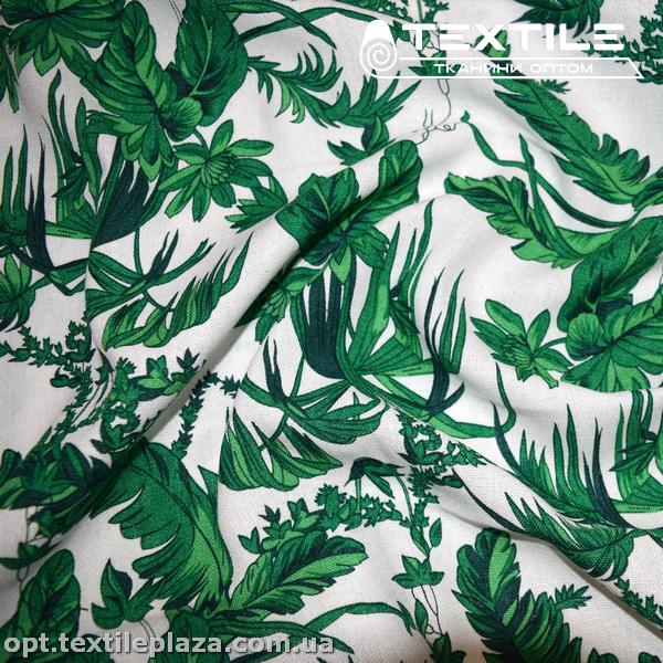 Лён цветной 4071D24C2 растения, зелено-белый