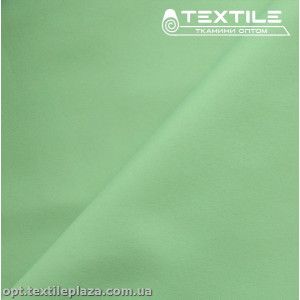 Плащевая ткань Президент 1999C83 фисташковый